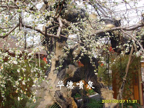 仿真樹2.jpg